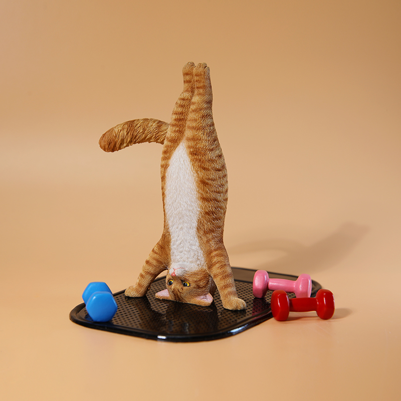 โมเดลแมวเล่นโยคะจำลองขนาด 1/6  - Kids Yoga Toys บทวิจารณ์และราคา