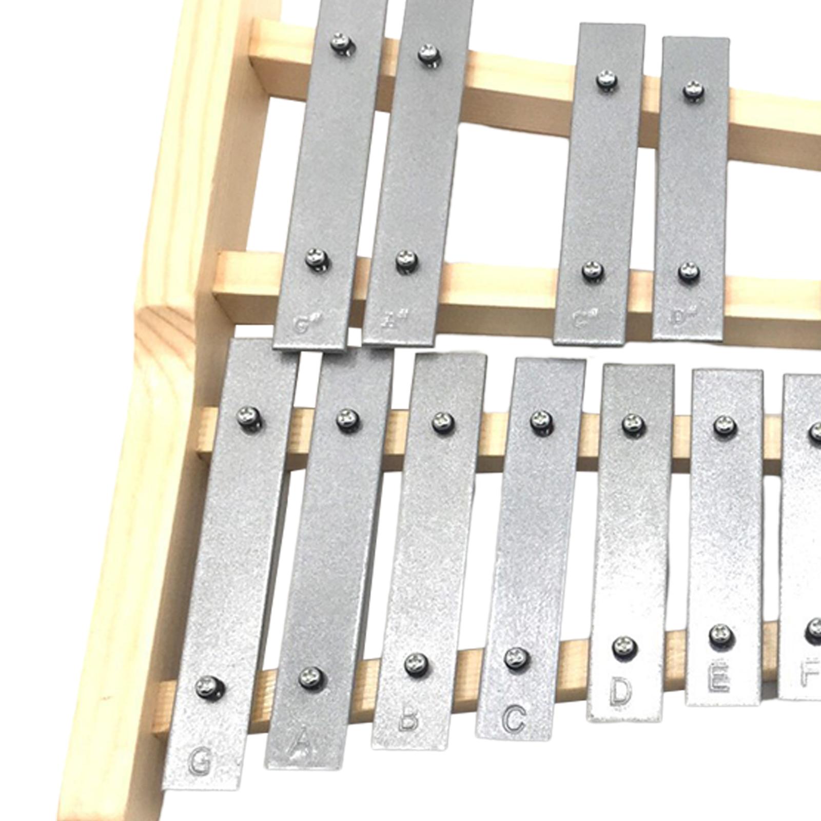 ไซโลโฟนโลหะ 25 คีย์ ของเล่นดนต - Kids Toys Xylophone บทวิจารณ์และราคา
