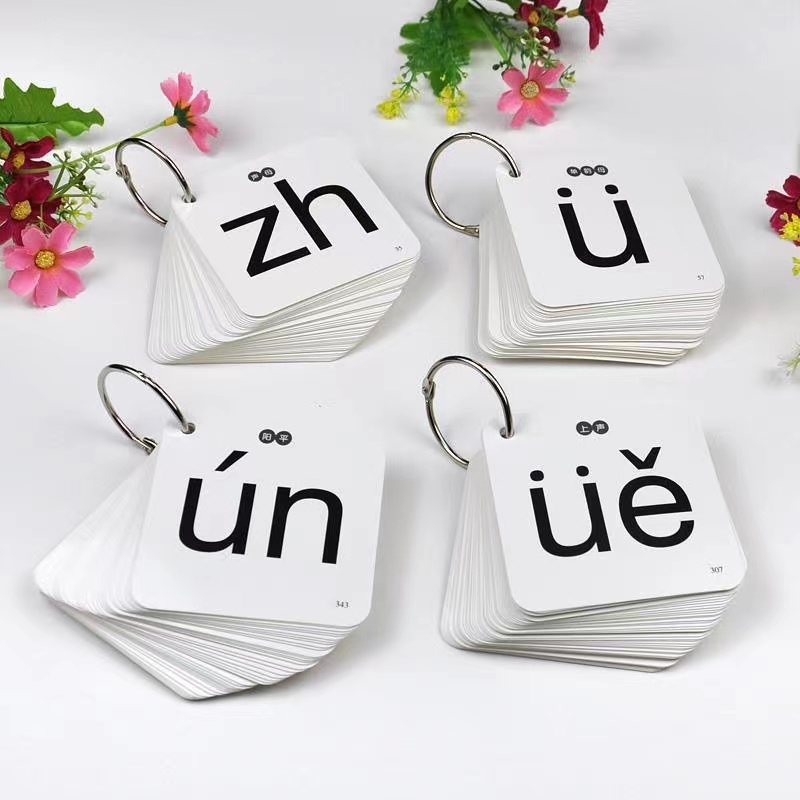 252ชิ้น/เซ็ตการเรียนรู้ Pinyin - Kids Toys Now บทวิจารณ์และราคา